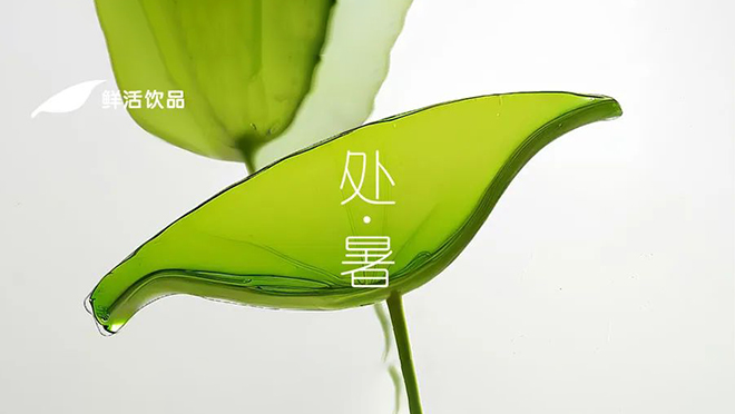 處暑丨颯然爽新，最好新秋